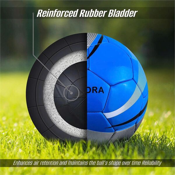 Ruột bóng (Bladder)