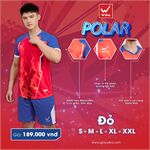 Quần áo bóng đá Wika Polar