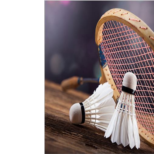 Chi tiết với hơn 96 badminton hình nền cầu lông đẹp hay nhất  Tin học Đông  Hòa