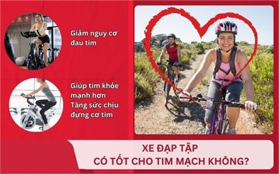 Xe đạp tập tại nhà giúp ngăn ngừa bệnh tim mạch bạn đã biết chưa???