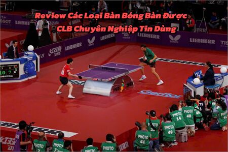 Review Các Loại Bàn Bóng Bàn Được CLB Chuyên Nghiệp Tin Dùng