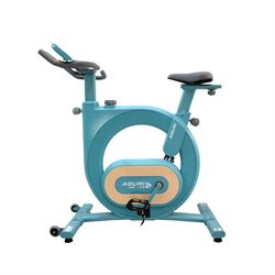 Xe đạp tập thể dục AGURI AGS-215