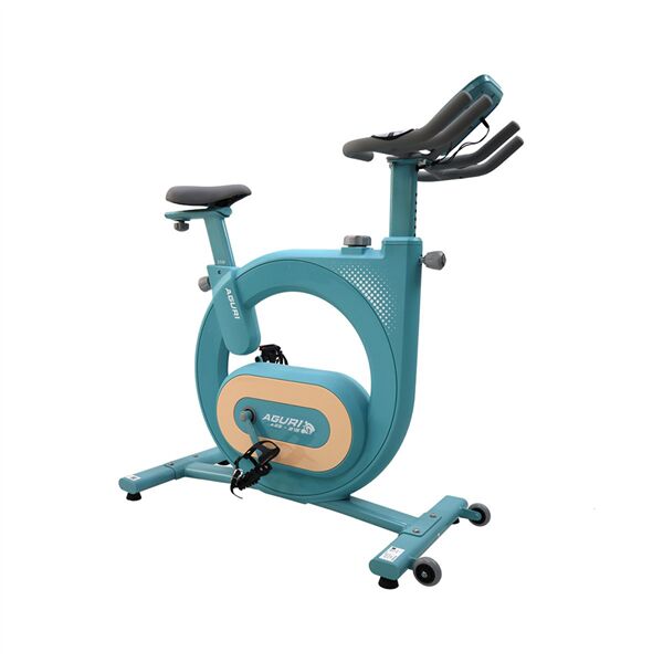 Xe đạp tập thể dục AGURI AGS-215