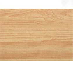 Thảm sàn thể thao đa năng Enlio A-65145 