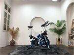 Xe đạp tập thể dục KASUMI HL005-Pro