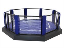 Lồng bát giác thi đấu MMA 