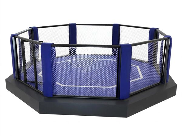 Lồng bát giác thi đấu MMA 