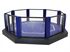 Lồng bát giác thi đấu MMA 