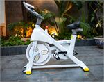 Xe đạp tập thể dục NextSport NSB-3000
