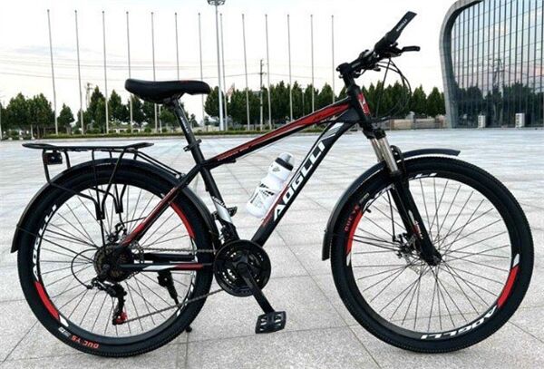 Xe đạp địa hình thể thao AOGLLI 110