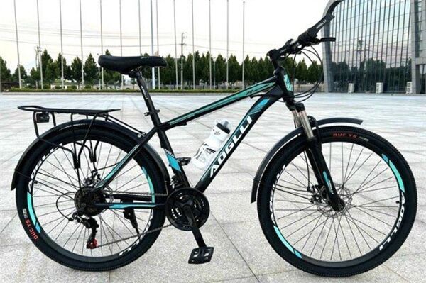 Xe đạp địa hình thể thao AOGLLI 110