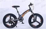 Xe đạp trẻ em BDF vành đúc