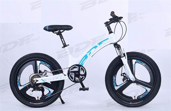 Xe đạp trẻ em BDF vành đúc