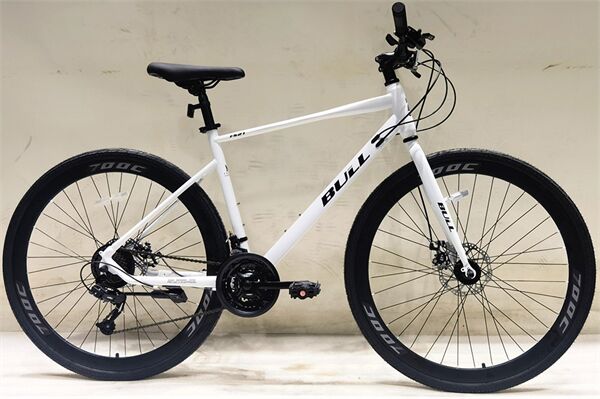 Xe đạp touring BULL FS21