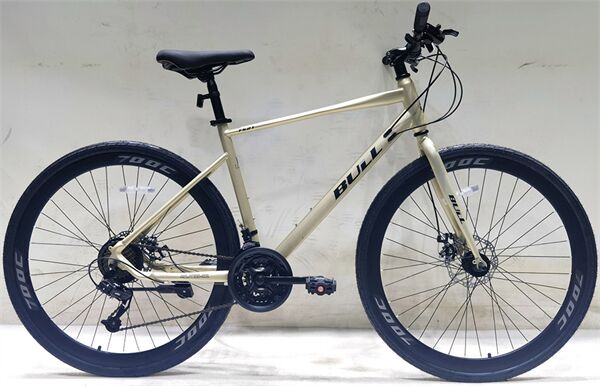 Xe đạp touring BULL FS21