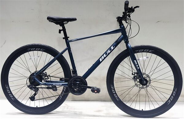 Xe đạp touring BULL FS21