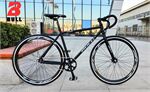 Xe đạp Fixed Gear BULL FC88
