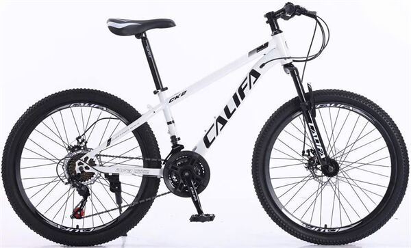 Xe đạp địa hình thể thao Califa CK2