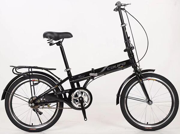 Xe đạp điện gấp Califa CG20