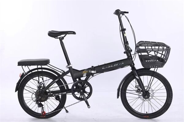 Xe đạp điện gấp Califa CG20D