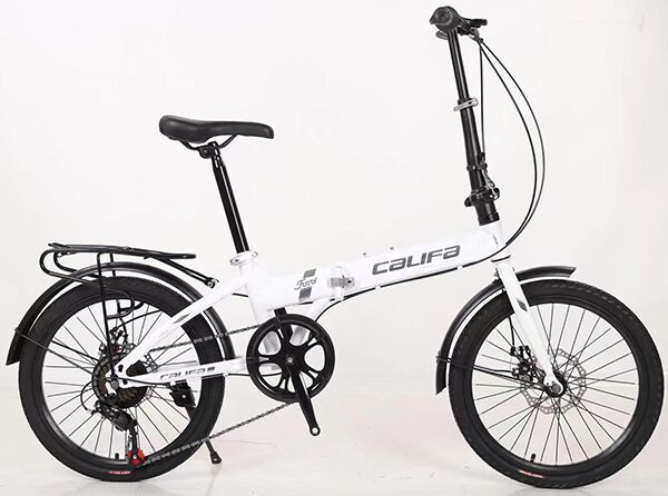 Xe đạp gấp Califa CG20D