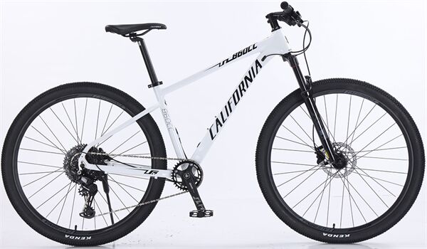 Xe đạp địa hình thể thao California 860CC
