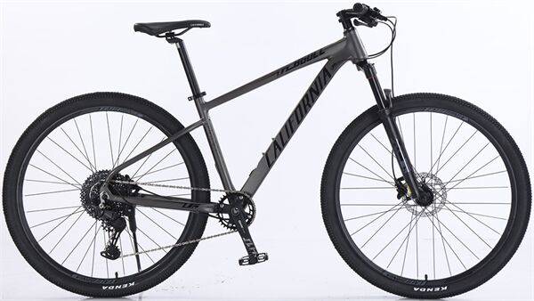 Xe đạp địa hình thể thao California 860CC