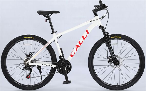 Xe đạp địa hình thể thao CALLI 1700