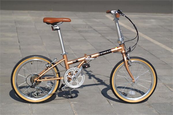 Xe đạp gấp Calli X5