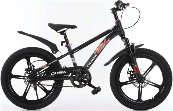 Xe đạp trẻ em CANIFA MF250