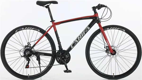 Xe đạp touring CANIFA FT100