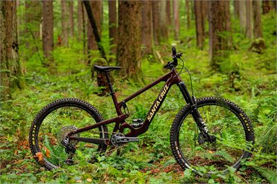 Top 3 xe đạp địa hình MTB Carbon hot nhất 2026