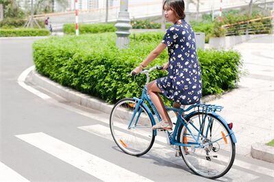 Top 5 mẫu xe đạp nữ đẹp nhất 2023 giá rẻ chính hãng