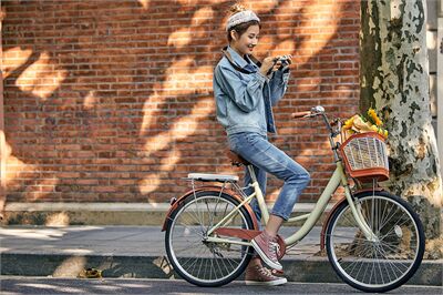 Xe đạp mini nữ có mẫu nào giá rẻ mà chất lượng lại tốt?