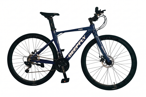 Xe đạp touring Deepfly T66