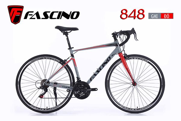 Xe đạp đua Fascino 848