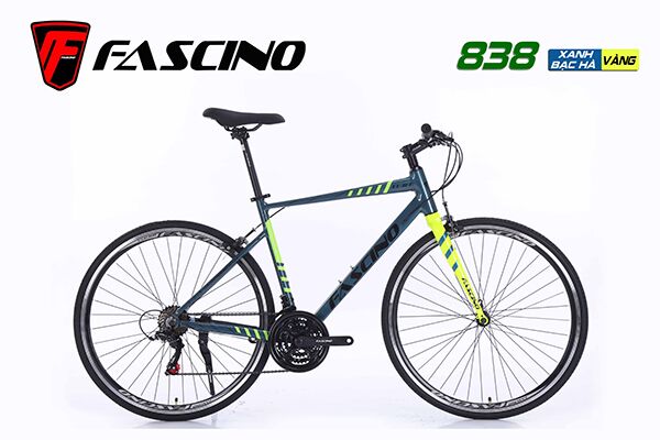 Xe đạp touring Fascino 838