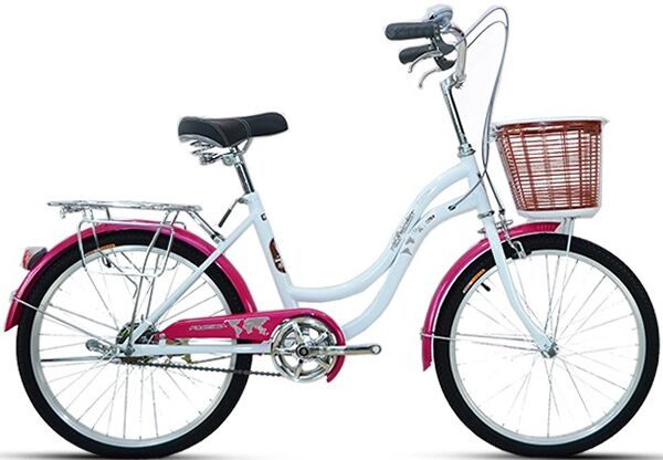 Xe đạp trẻ em Fascino FM22