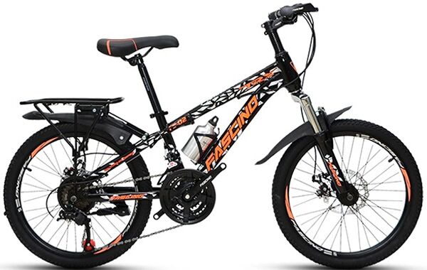 Xe đạp trẻ em Fascino FS-02