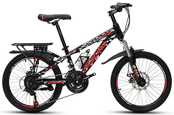 Xe đạp trẻ em Fascino FS-02