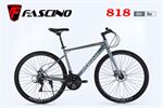 Xe đạp touring Fascino 818