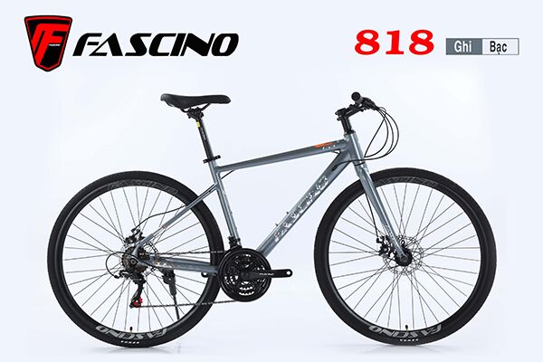 Xe đạp touring Fascino 818