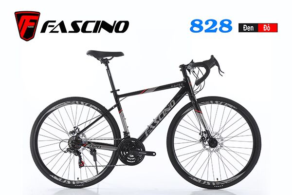 Xe đạp đua Fascino 828