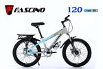 Xe đạp trẻ em Fascino 120