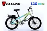 Xe đạp trẻ em Fascino 120