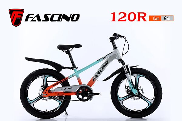 Xe đạp trẻ em Fascino 120R