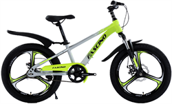 Xe đạp trẻ em Fascino 120R