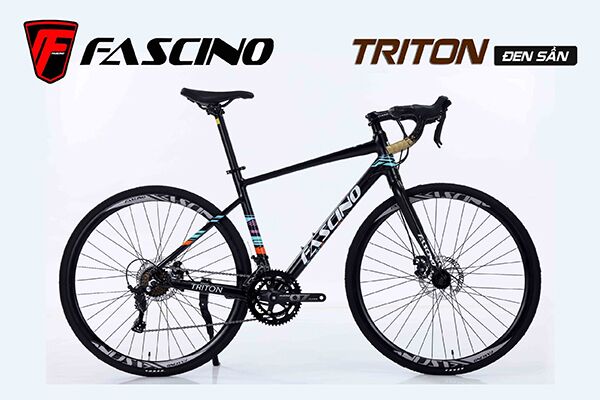 Xe đạp đua Fascino TRITON