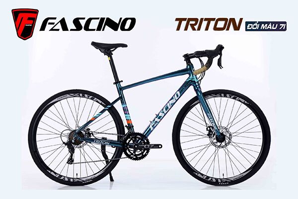 Xe đạp đua Fascino TRITON