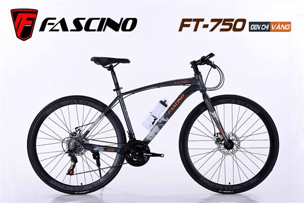 Xe đạp touring Fascino FT-750
